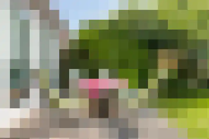 Michiel de Ruyterstraat 34 Waalre thumbnail 31