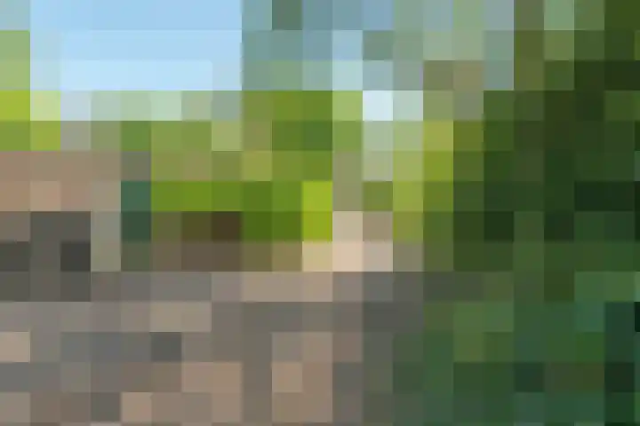 Michiel de Ruyterstraat 38 Waalre thumbnail 30