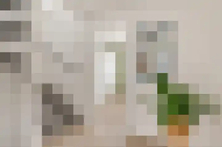 Michiel de Ruyterstraat 52 Hillegom thumbnail 16