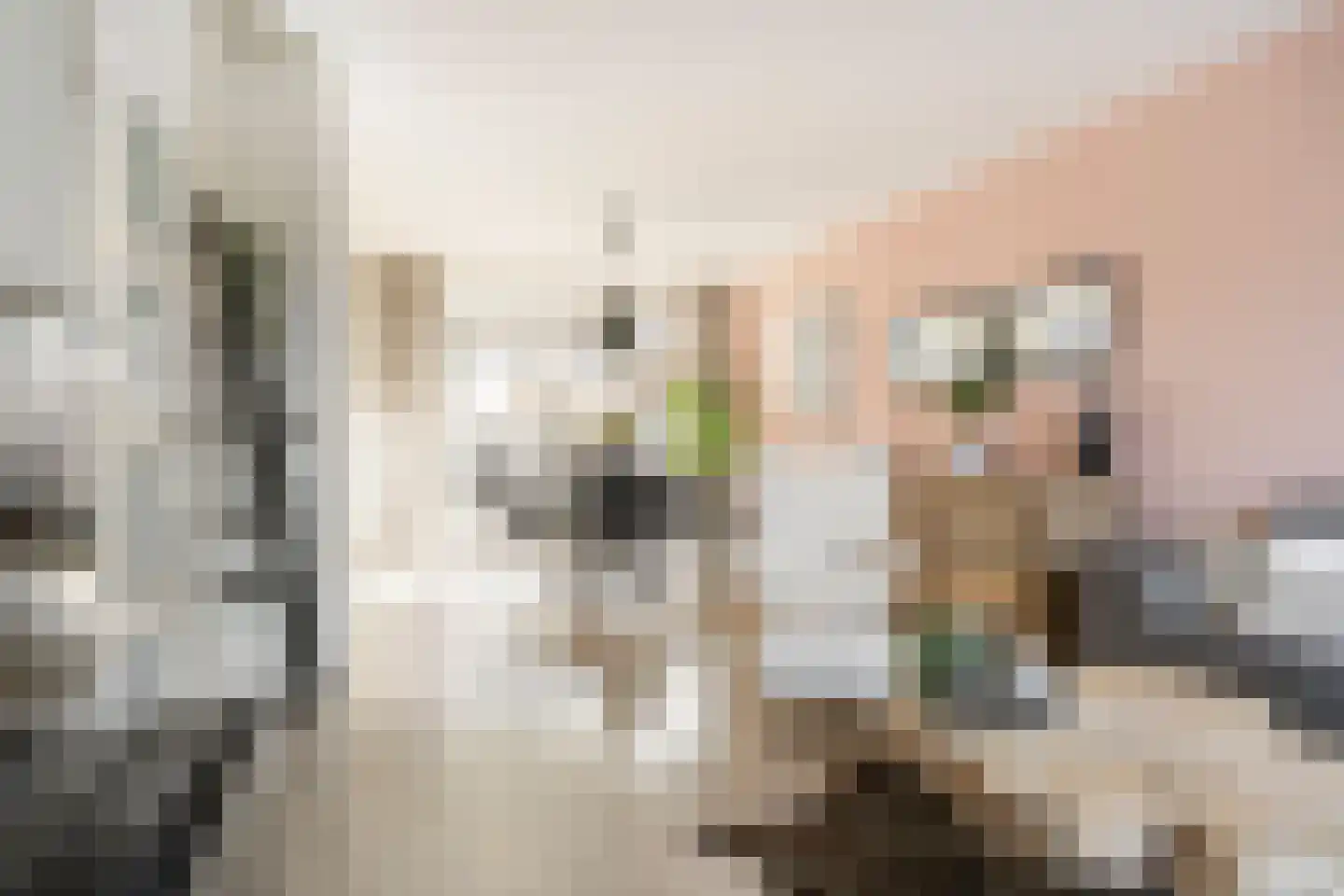 Michiel de Ruyterstraat 56 Zevenaar thumbnail 6