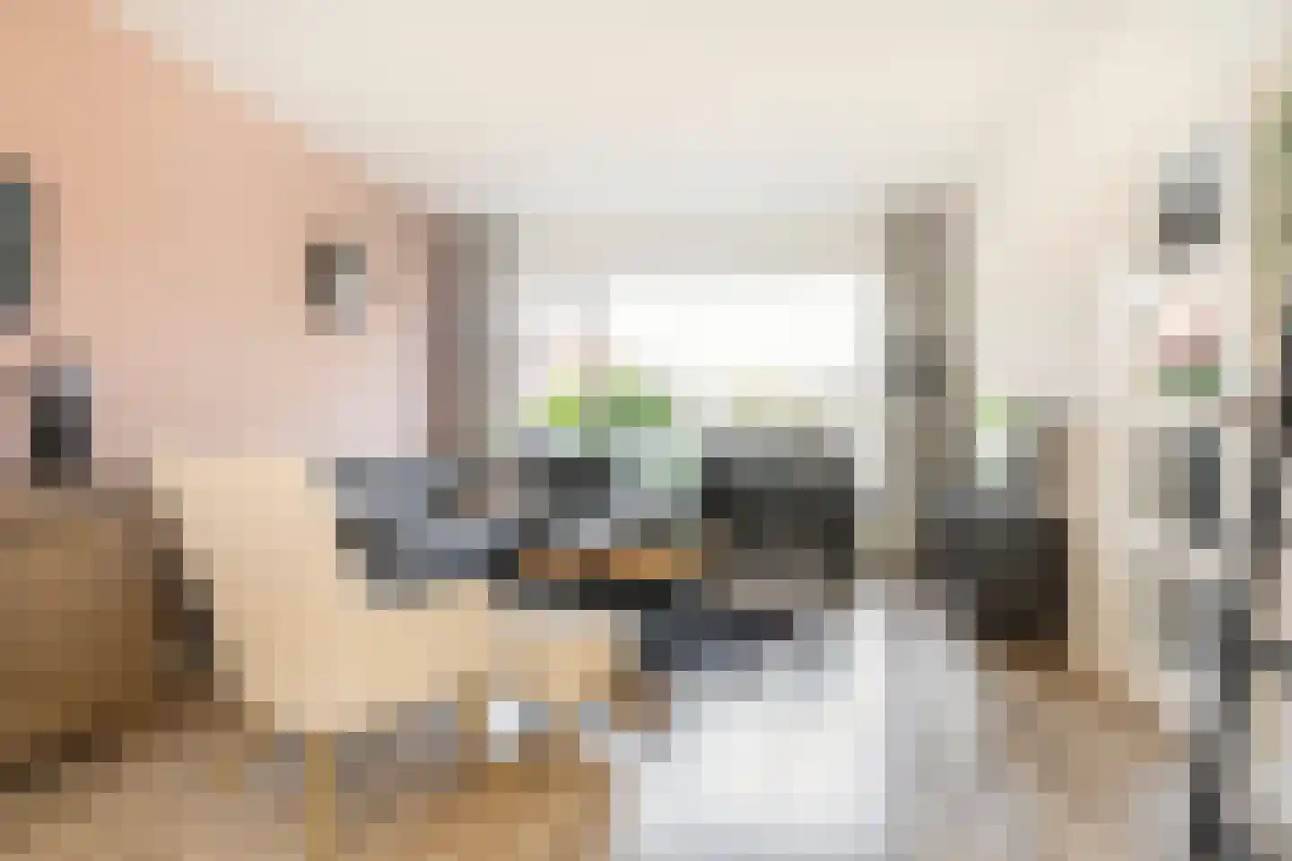 Michiel de Ruyterstraat 56 Zevenaar thumbnail 7