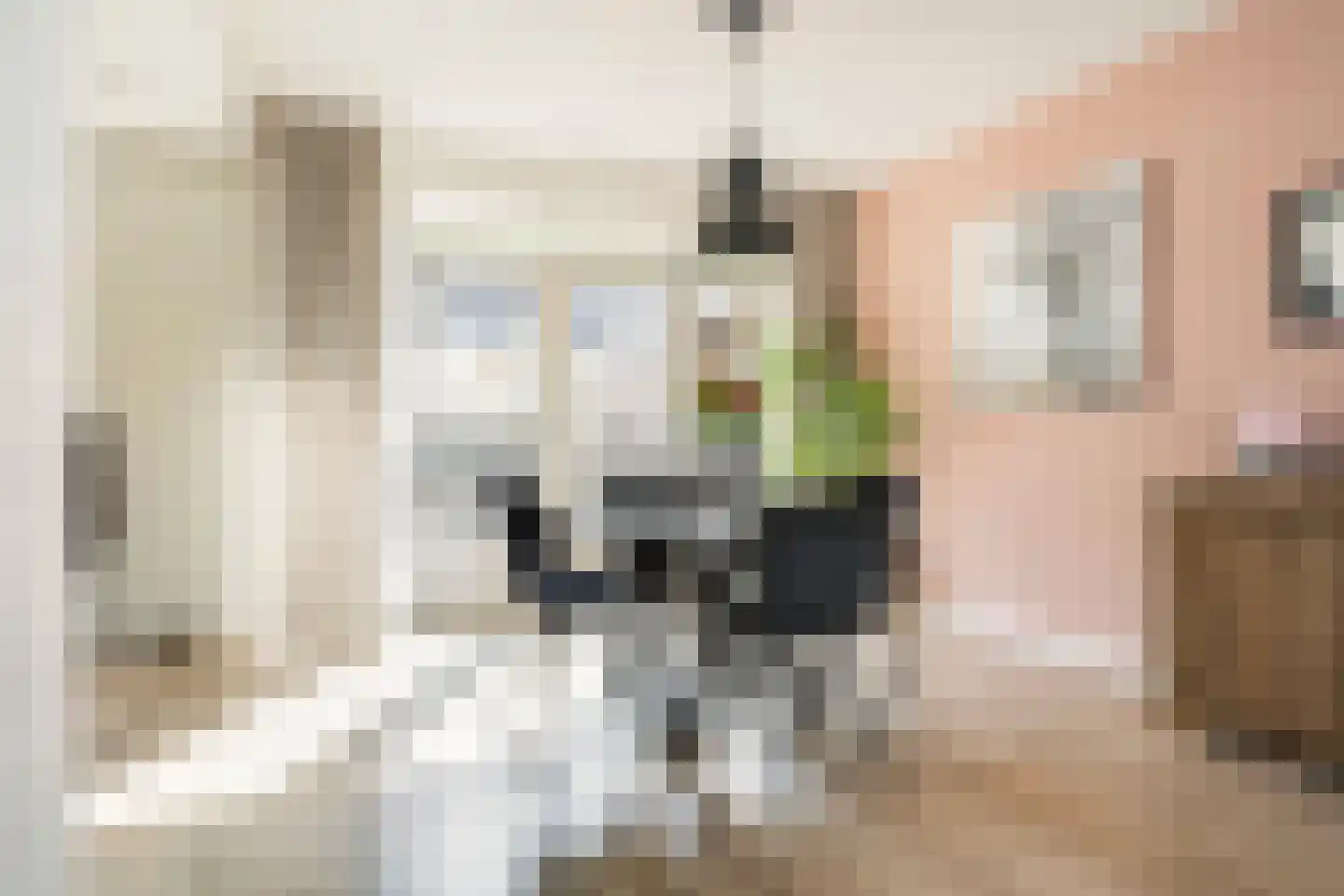Michiel de Ruyterstraat 56 Zevenaar thumbnail 8