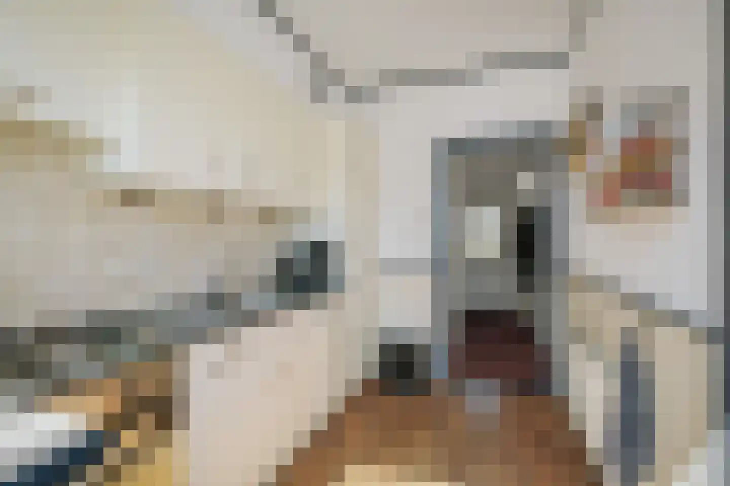Michiel de Ruyterstraat 69 Twello thumbnail 14