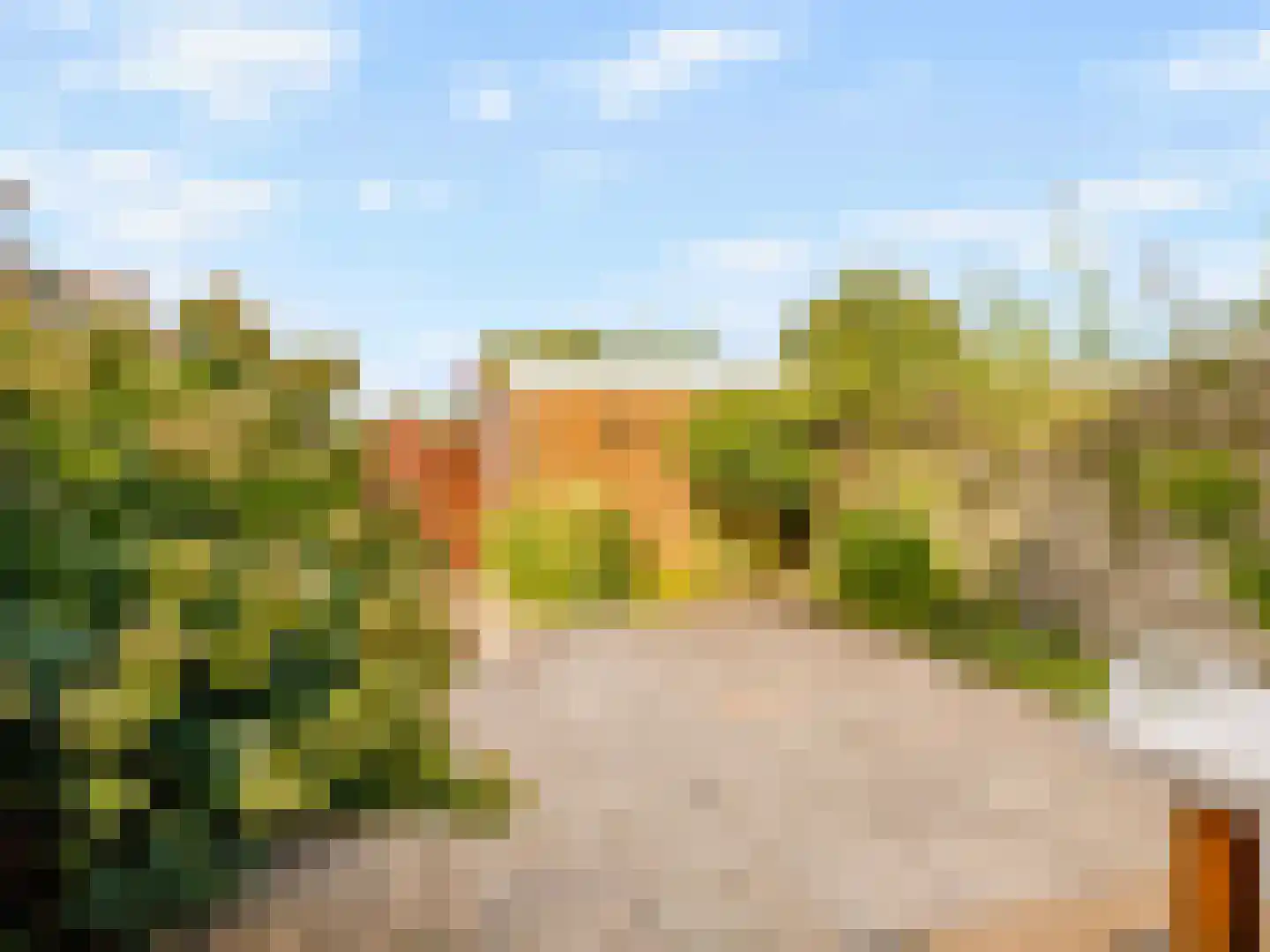 Michiel de Ruyterstraat 81 Hillegom thumbnail 30
