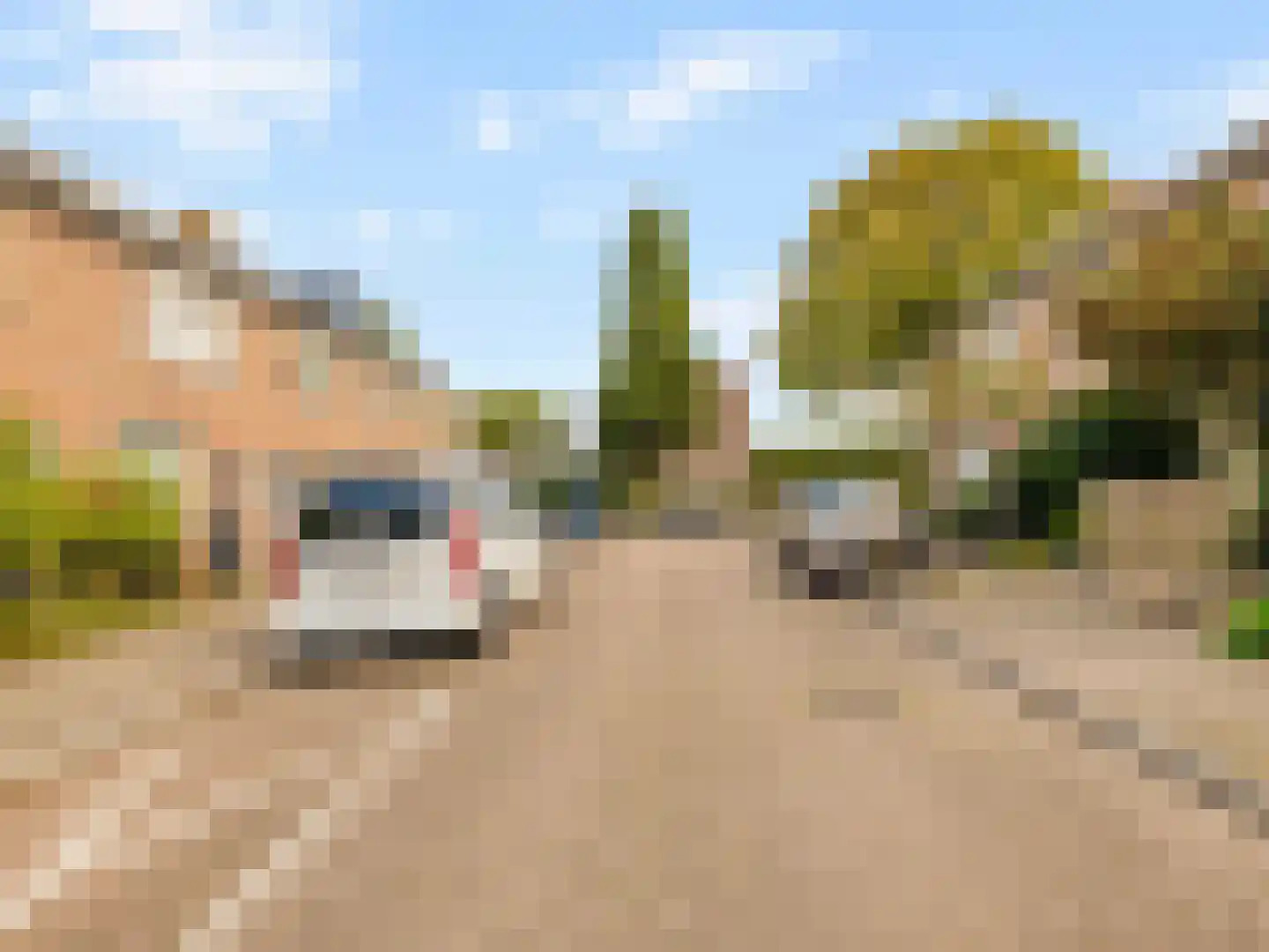 Michiel de Ruyterstraat 81 Hillegom thumbnail 39