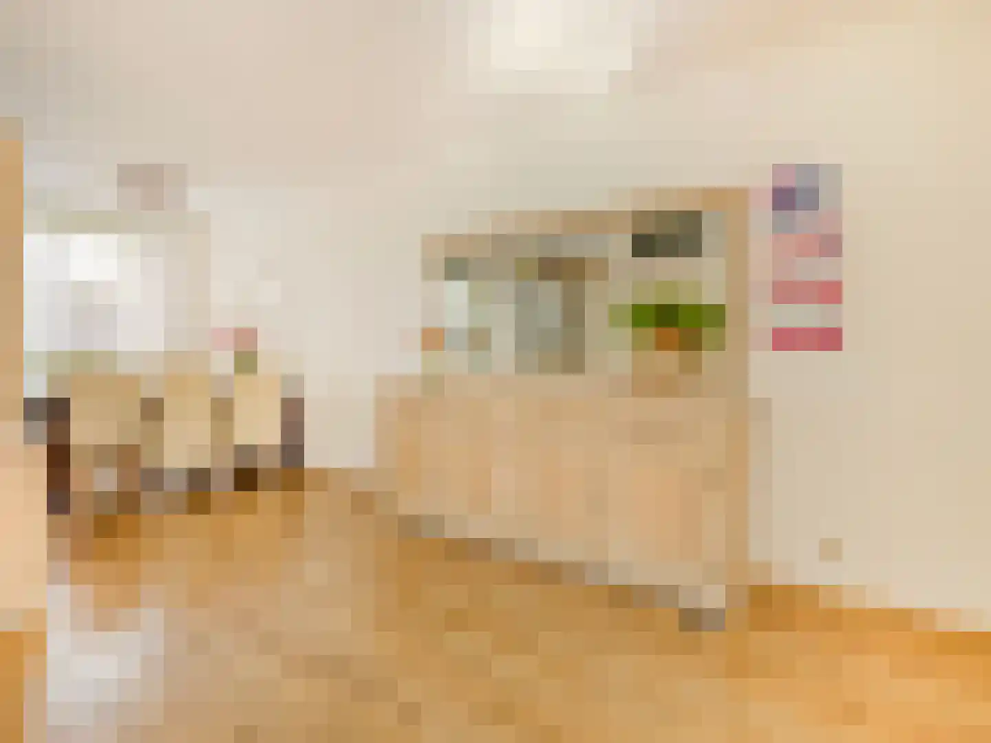 Michiel de Ruyterstraat 81 Hillegom thumbnail 6