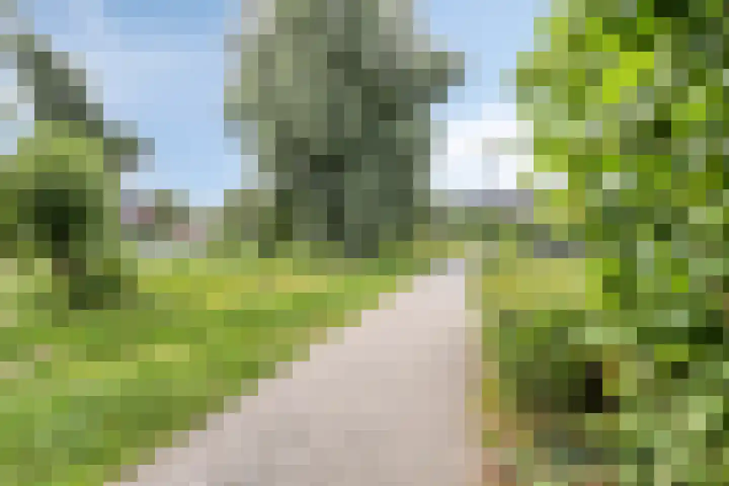Michiel de Ruyterweg 124 A Vught thumbnail 25