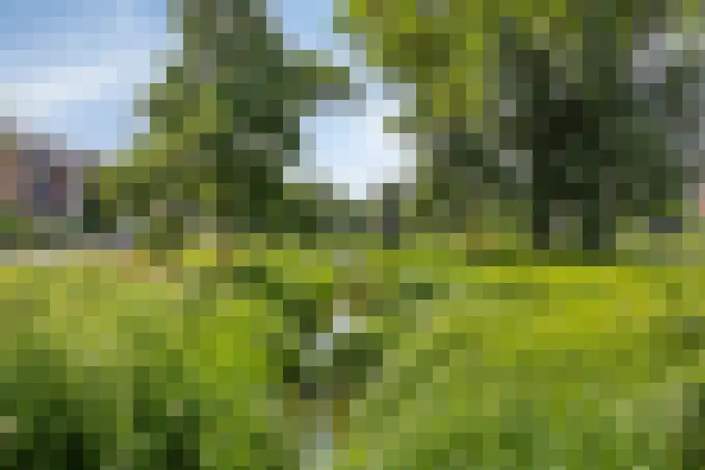 Michiel de Ruyterweg 124 Vught thumbnail 36