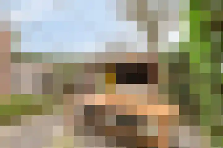 Michiel de Ruyterweg 145 Vught thumbnail 23