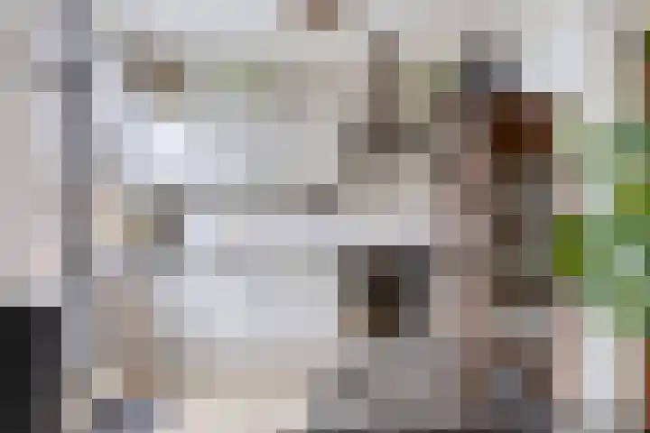 Michiel de Ruyterweg 145 Vught thumbnail 8