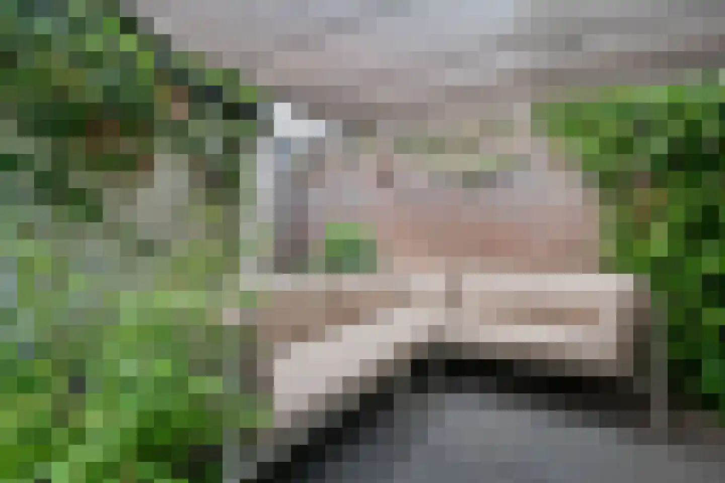Michiel de Ruyterweg 165 Vught thumbnail 36