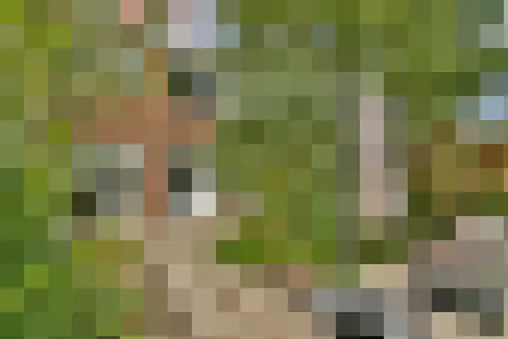 Michiel van Miereveldlaan 6 Amstelveen thumbnail 12