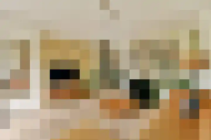 Michiel van Miereveldlaan 6 Amstelveen foto 2