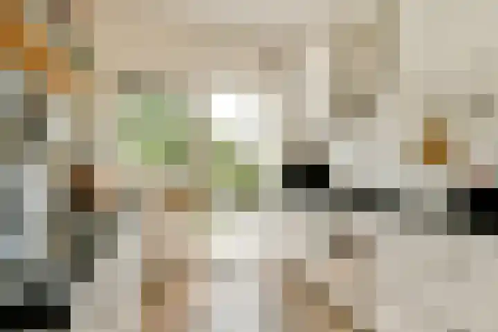Michiel van Miereveldlaan 6 Amstelveen thumbnail 8