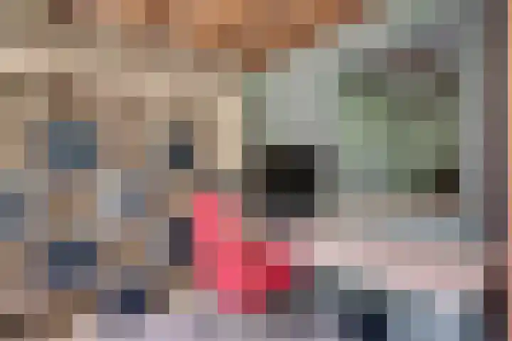 Michielpad 11 Wijchen thumbnail 14