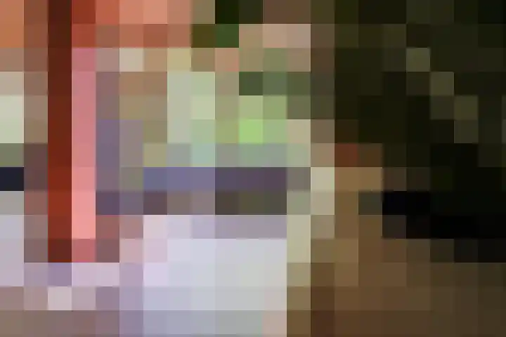 Michielpad 11 Wijchen thumbnail 19