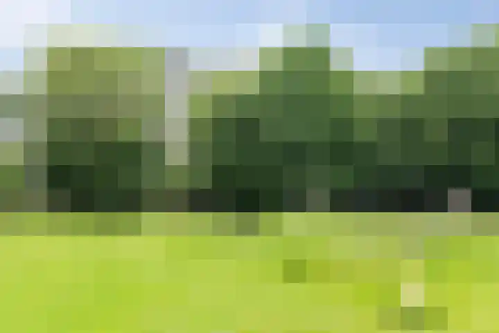 Michielpad 11 Wijchen thumbnail 20