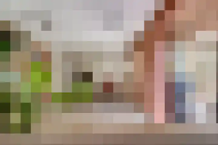 Michielpad 11 Wijchen thumbnail 21