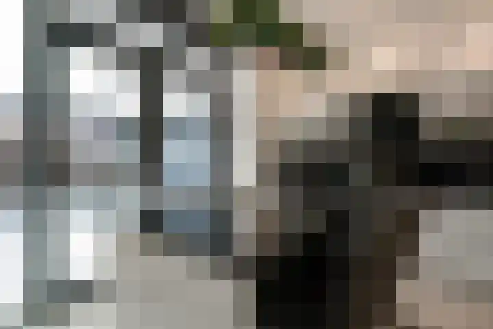 Michielpad 11 Wijchen thumbnail 39