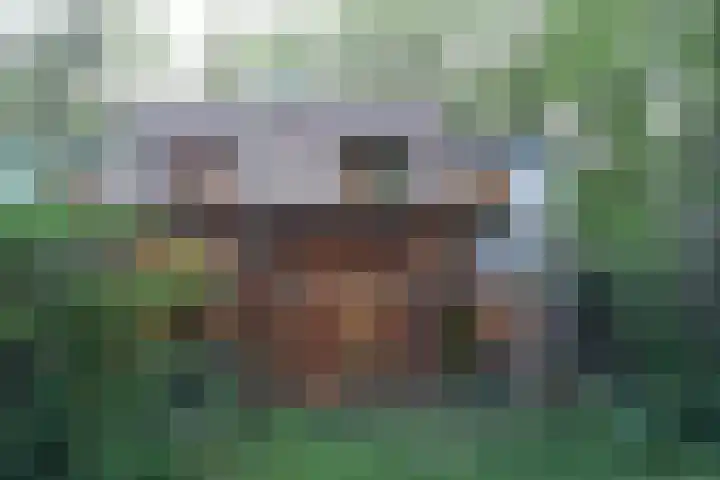 Michielpad 11 Wijchen thumbnail 41