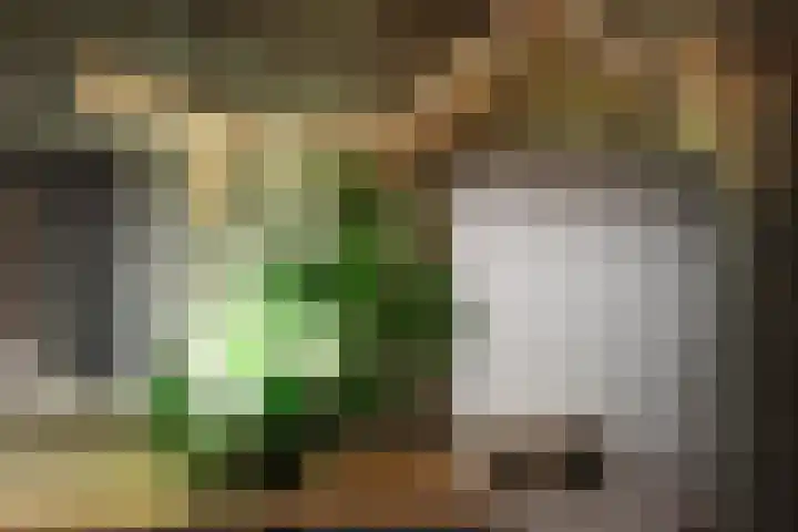 Michielpad 11 Wijchen thumbnail 45