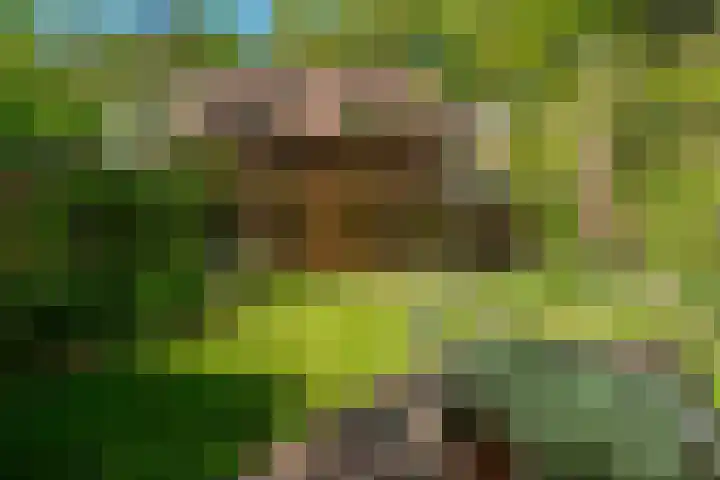 Michielpad 11 Wijchen thumbnail 48