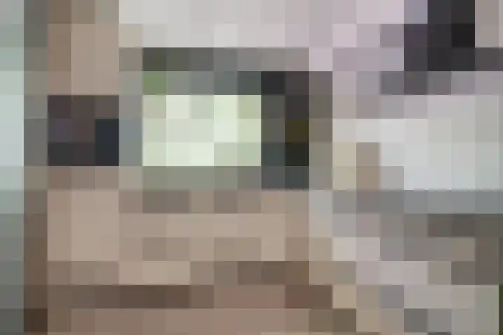 Michielpad 11 Wijchen thumbnail 5
