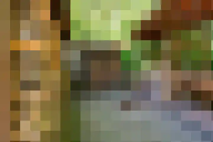 Michielpad 11 Wijchen thumbnail 50