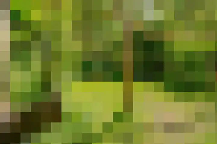 Michielpad 11 Wijchen thumbnail 51