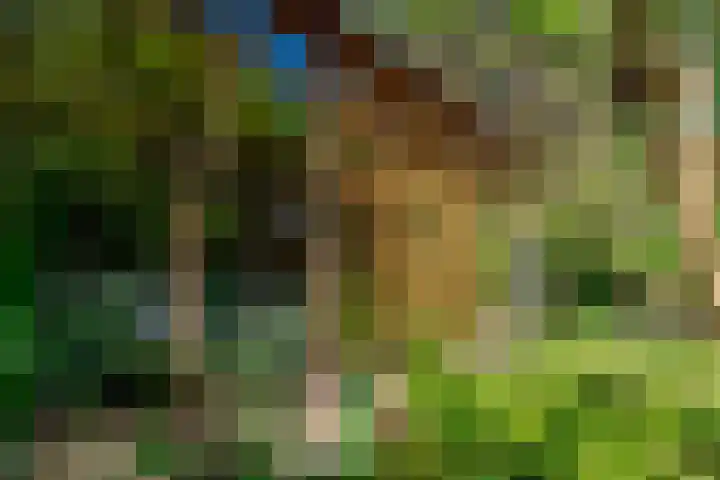 Michielpad 11 Wijchen thumbnail 52