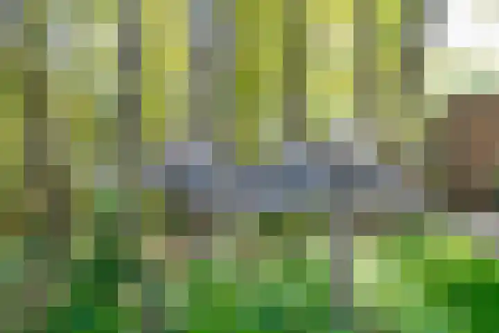 Michielpad 11 Wijchen thumbnail 53
