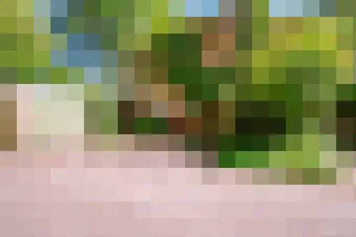 Michielpad 11 Wijchen thumbnail 54