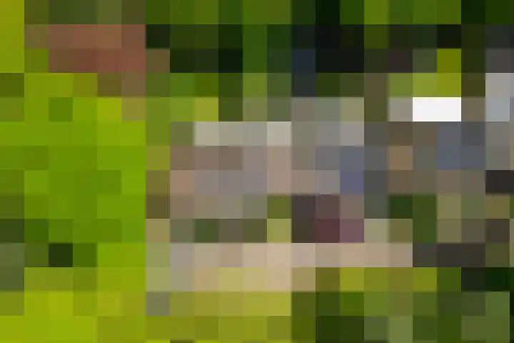 Michielpad 11 Wijchen thumbnail 55