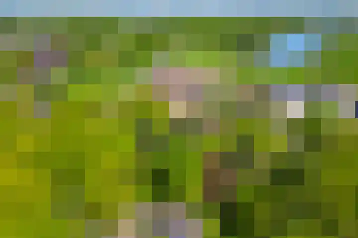 Michielpad 11 Wijchen thumbnail 56