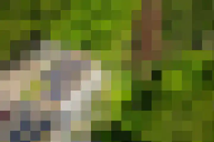 Michielpad 11 Wijchen thumbnail 58