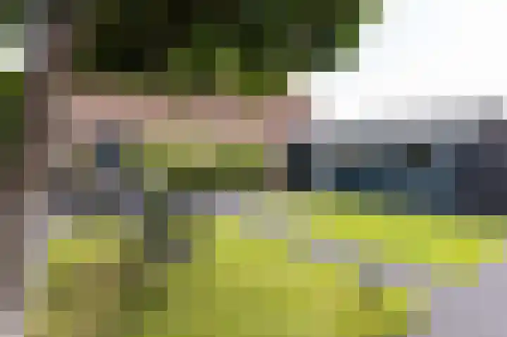 Michielpad 11 Wijchen thumbnail 64