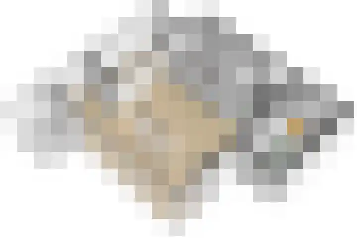 Michielpad 11 Wijchen thumbnail 64