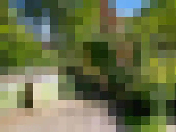 Michielpad 11 Wijchen thumbnail 66