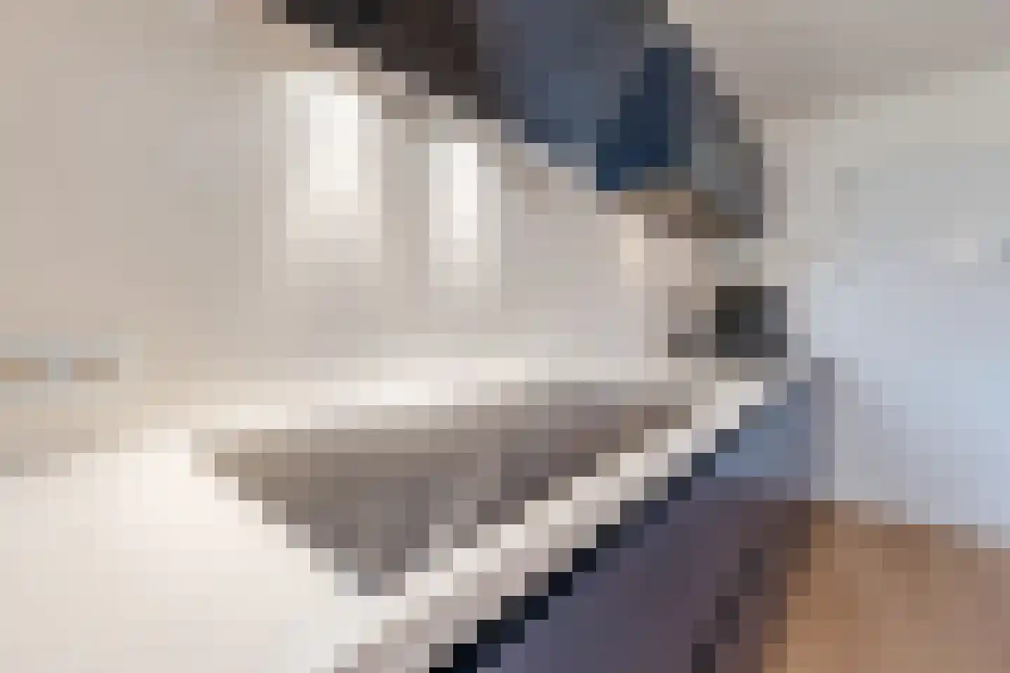 Michielsreed 1 Boelenslaan thumbnail 15