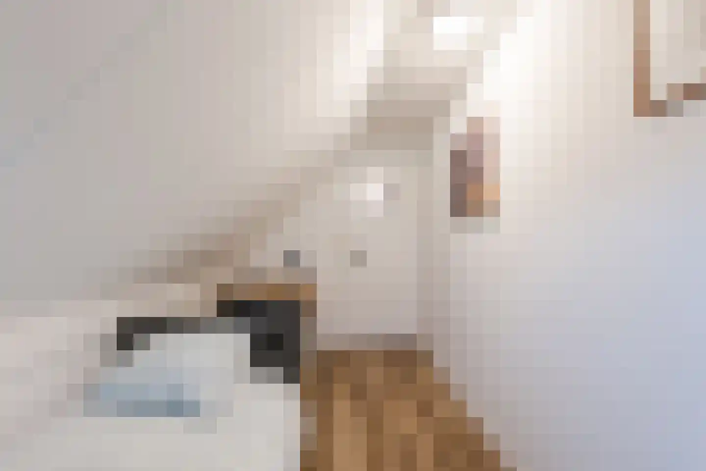 Michielsreed 1 Boelenslaan thumbnail 33