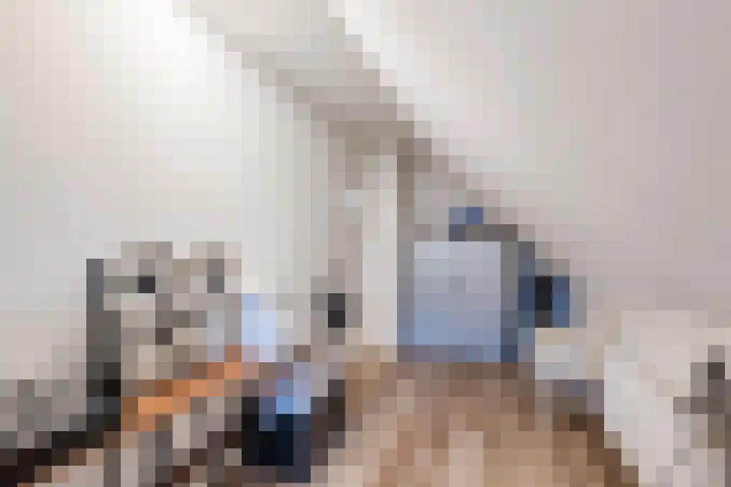 Michielsreed 1 Boelenslaan thumbnail 35