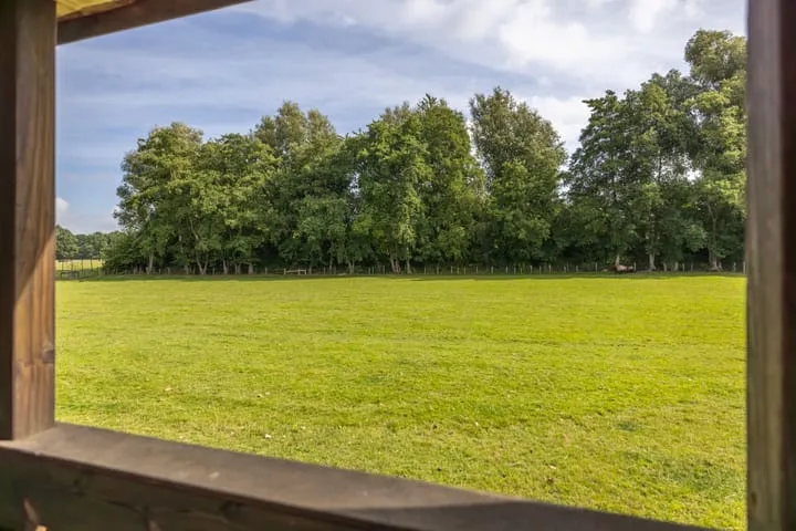 Michielsreed 12 Houtigehage thumbnail 46