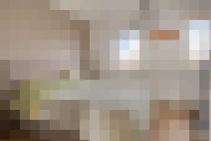 Mickershof 13 Gemert thumbnail 11