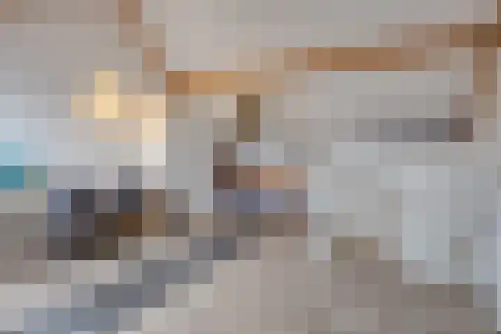 Mickershof 13 Gemert thumbnail 18
