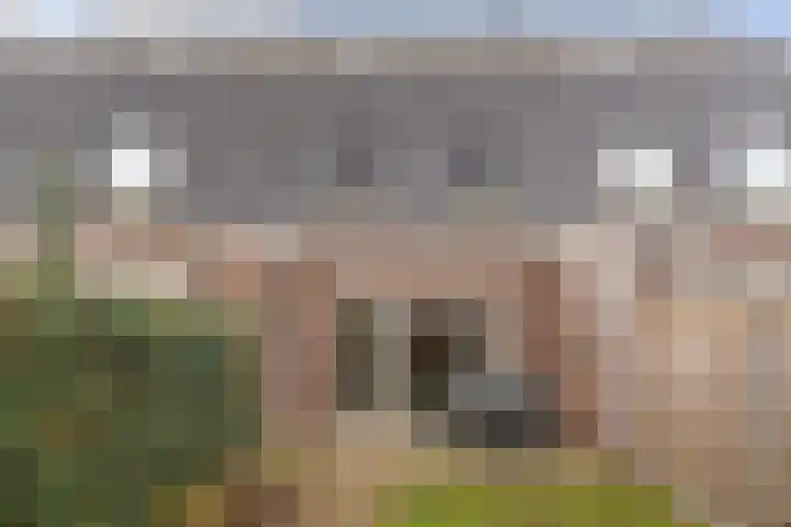 Mickershof 13 Gemert thumbnail 20