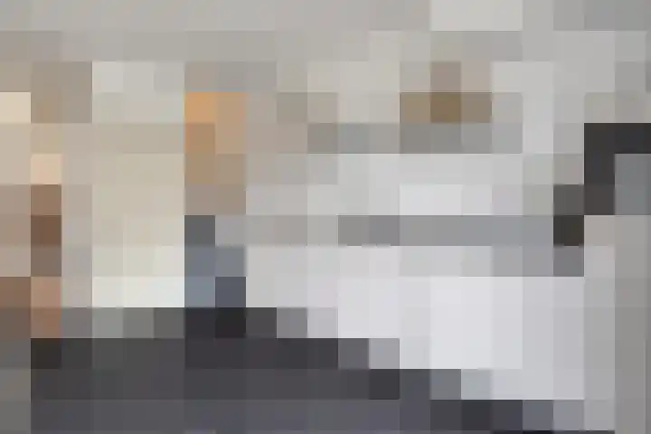 Mickershof 13 Gemert thumbnail 8