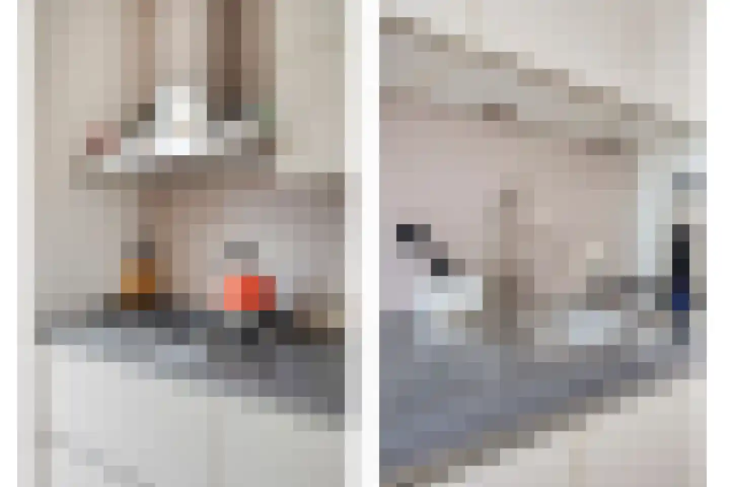 Mickershof 38 Gemert thumbnail 11