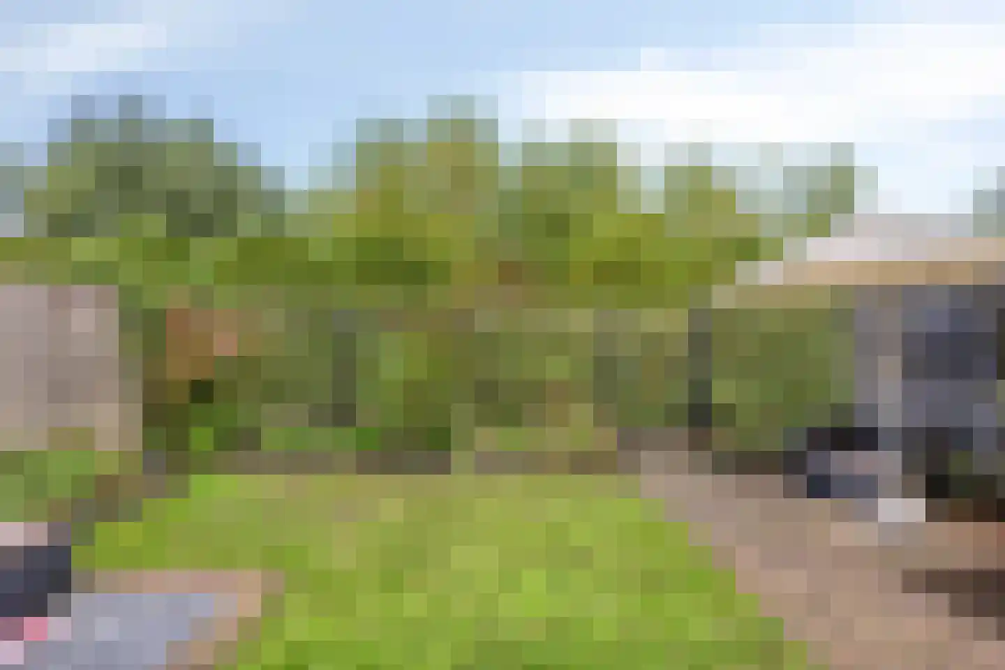 Mickershof 38 Gemert thumbnail 30