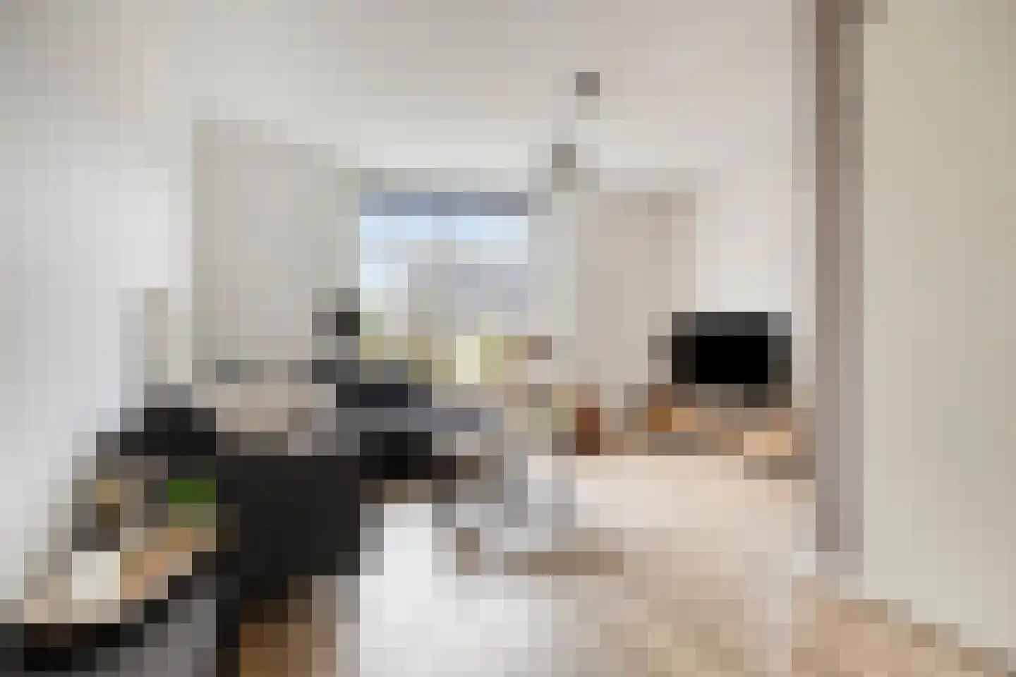 Mickershof 38 Gemert thumbnail 4
