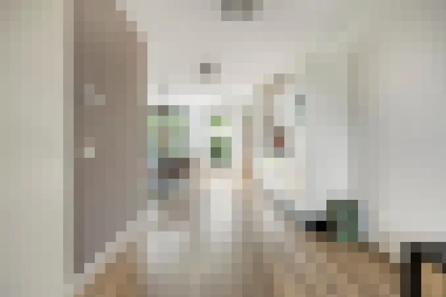 Mickershof 38 Gemert thumbnail 7